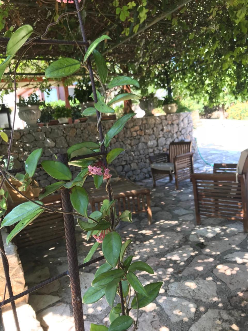 B&B Villa Alba San Vito Lo Capo Eksteriør bilde